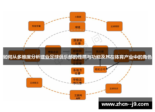 如何从多维度分析建业足球俱乐部的性质与功能及其在体育产业中的角色