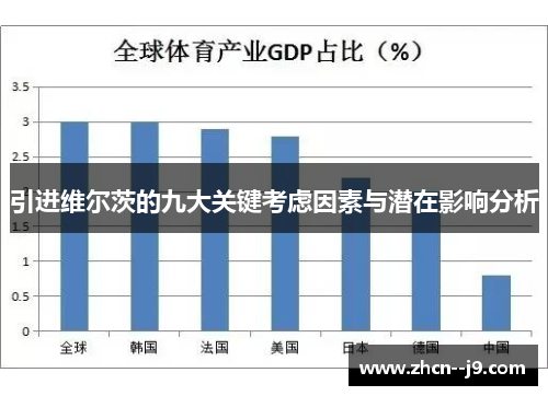 引进维尔茨的九大关键考虑因素与潜在影响分析